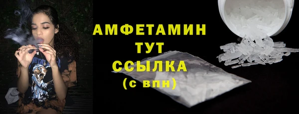 молекула духа Карпинск