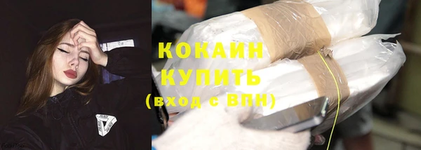 молекула духа Карпинск