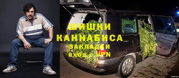 молекула духа Карпинск