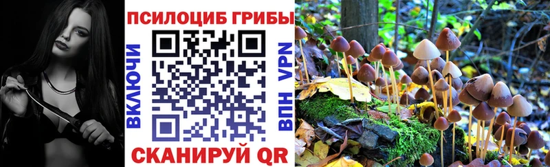 Купить Канск Псилоцибиновые грибы Psilocybe